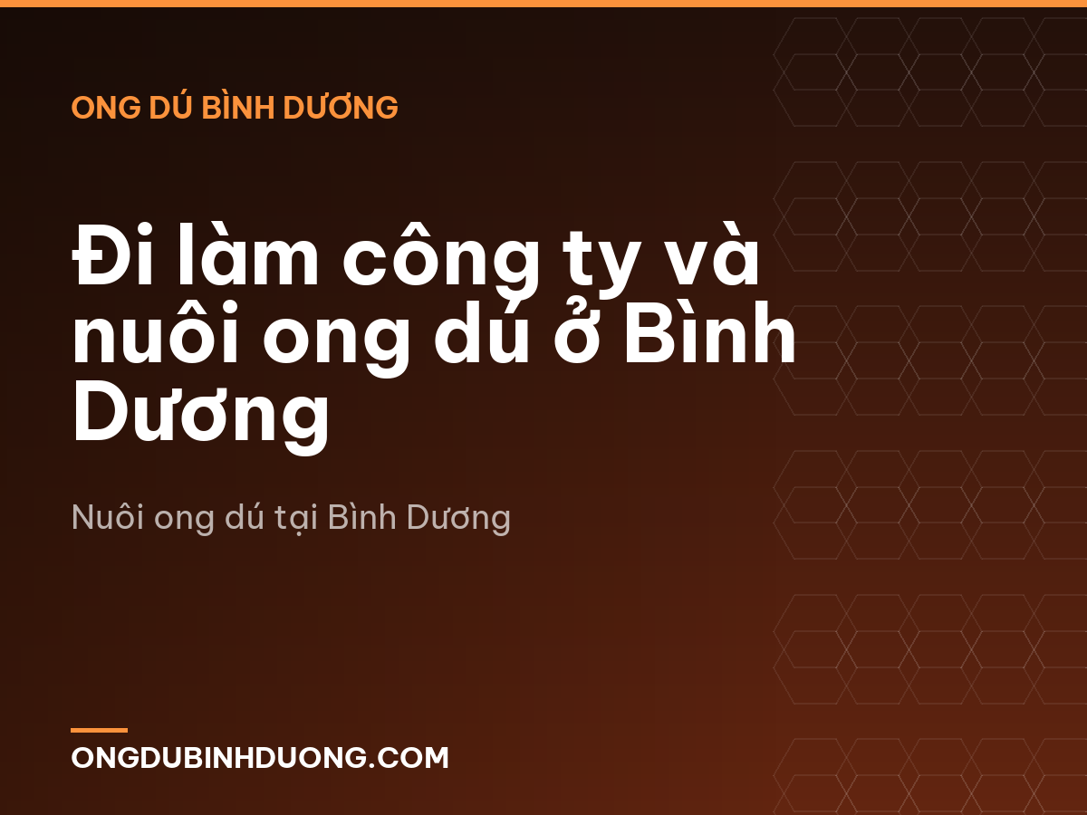 Đi làm công ty và nuôi ong dú ở Bình Dương