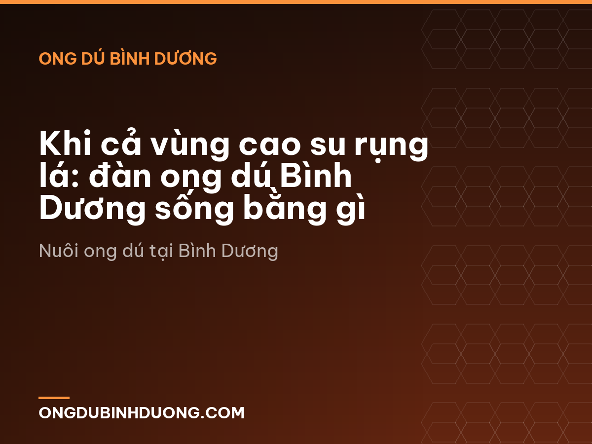 Khi cả vùng cao su rụng lá: đàn ong dú Bình Dương sống bằng gì