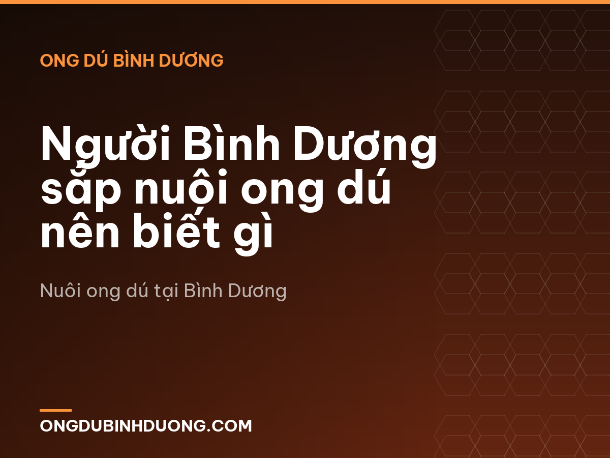 Người Bình Dương sắp nuôi ong dú nên biết gì