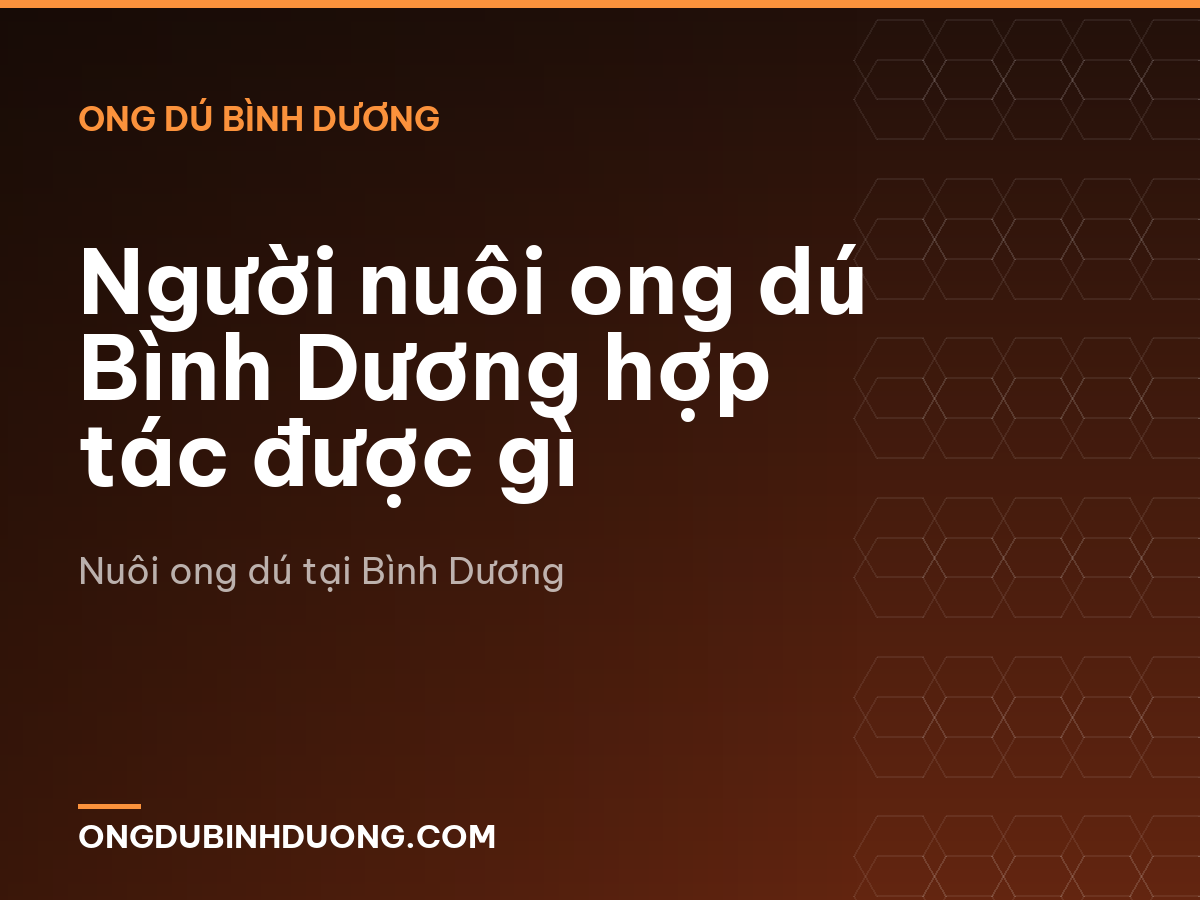 Người nuôi ong dú Bình Dương hợp tác được gì