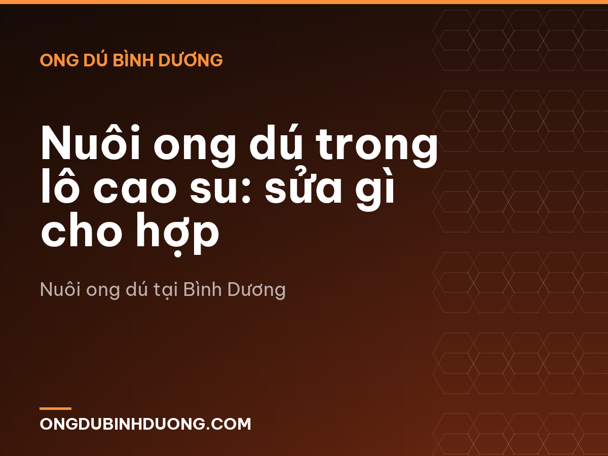 Nuôi ong dú trong lô cao su: sửa gì cho hợp