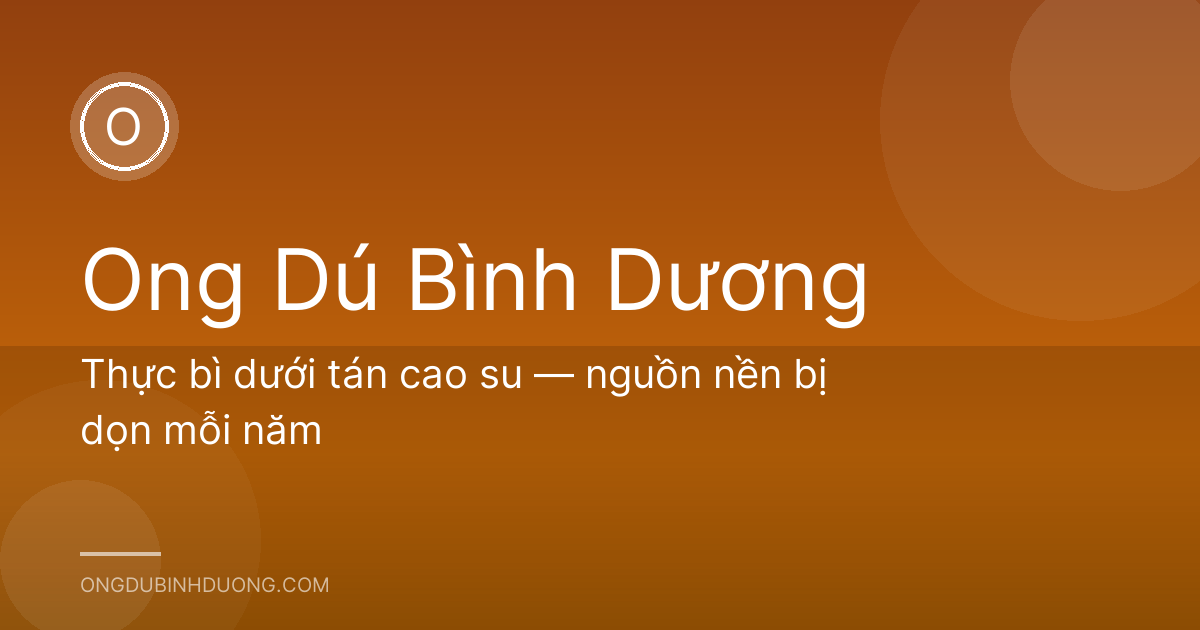 Thực bì dưới tán cao su — nguồn nền bị dọn mỗi năm