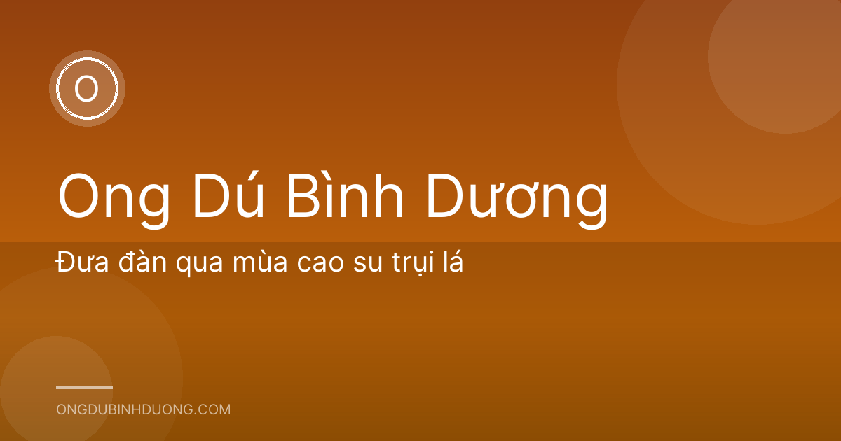 Đưa đàn qua mùa cao su trụi lá