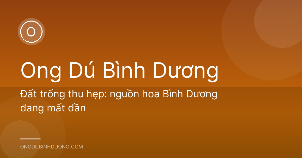 Đất trống thu hẹp: nguồn hoa Bình Dương đang mất dần