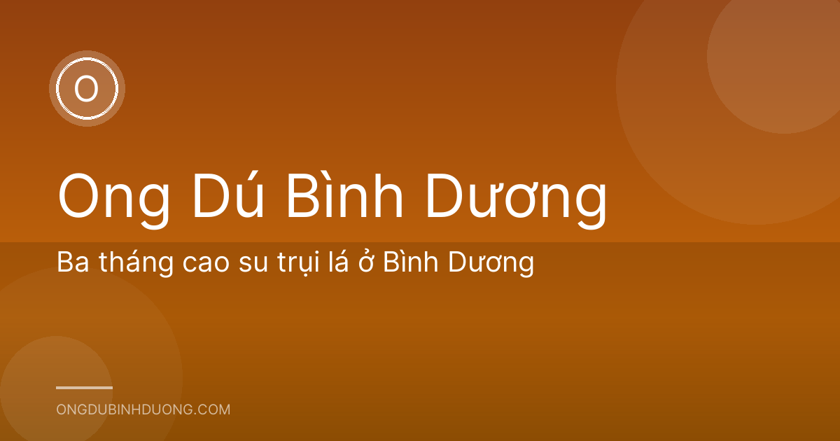 Ba tháng cao su trụi lá ở Bình Dương