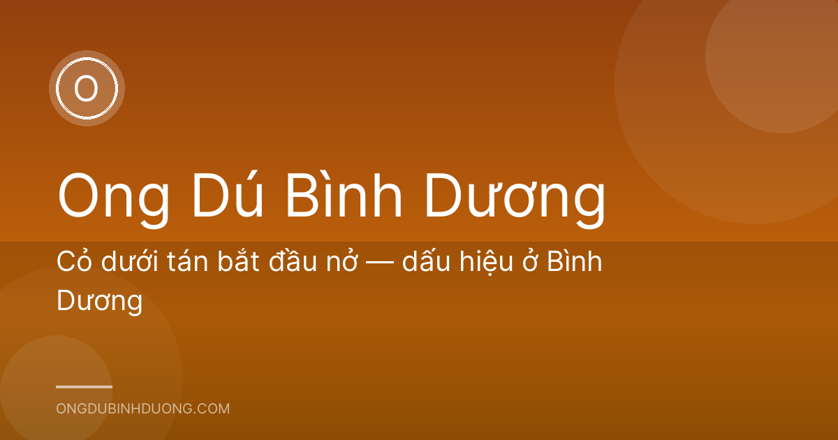 Cỏ dưới tán bắt đầu nở — dấu hiệu ở Bình Dương