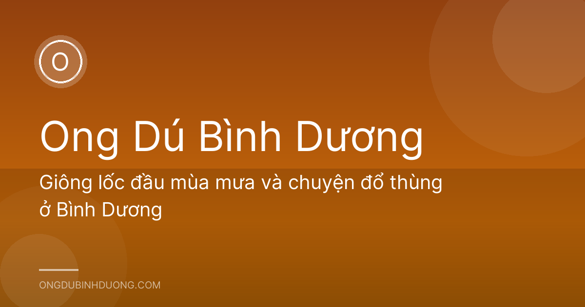 Giông lốc đầu mùa mưa và chuyện đổ thùng ở Bình Dương