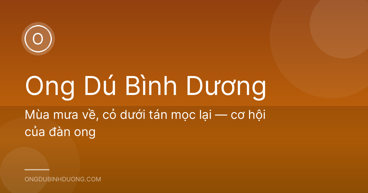 Mùa mưa về, cỏ dưới tán mọc lại — cơ hội của đàn ong