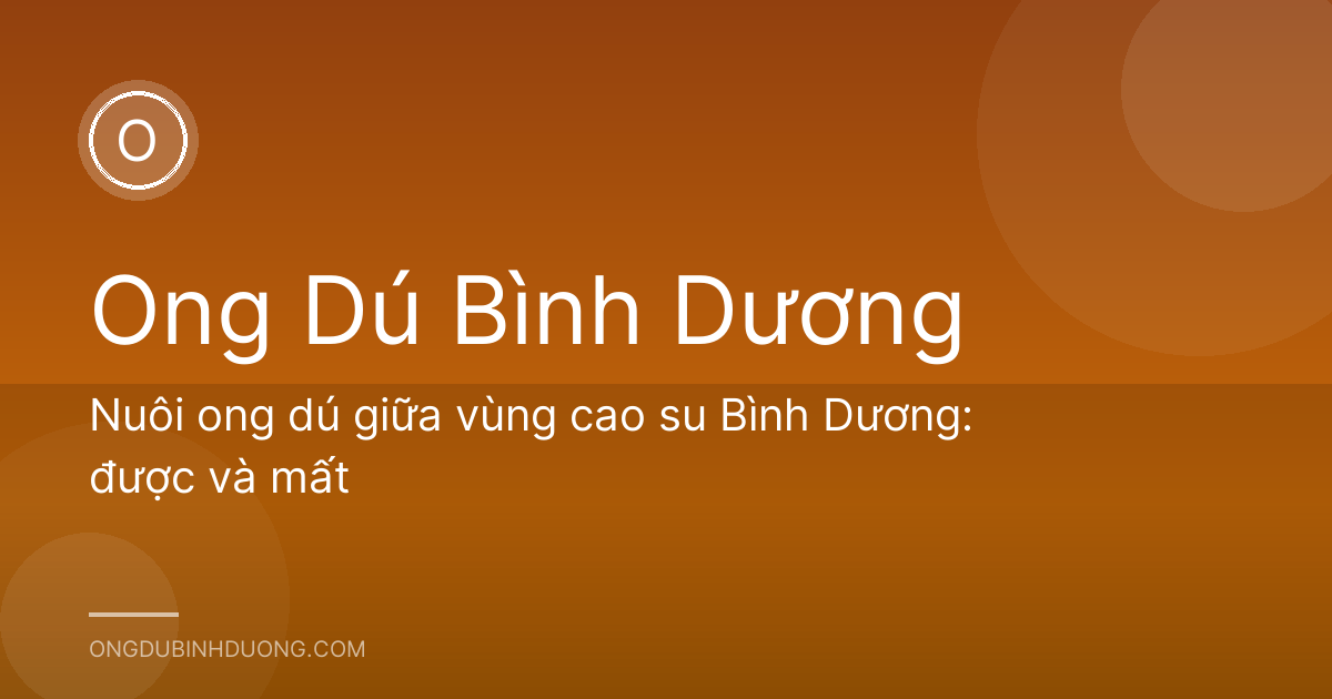 Nuôi ong dú giữa vùng cao su Bình Dương: được và mất