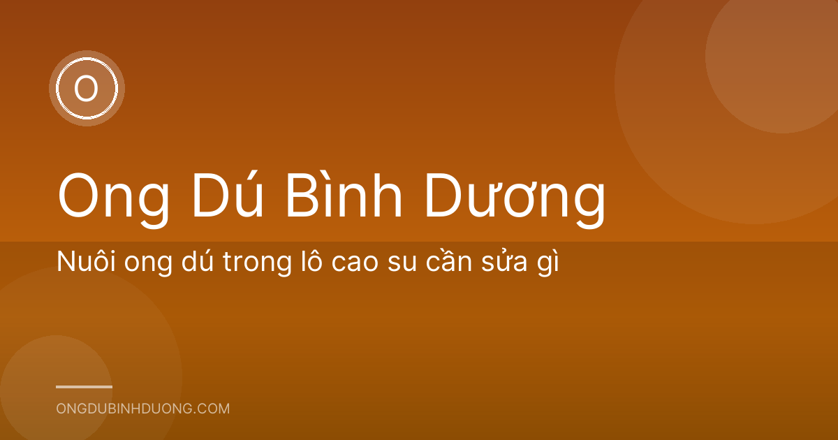 Nuôi ong dú trong lô cao su cần sửa gì